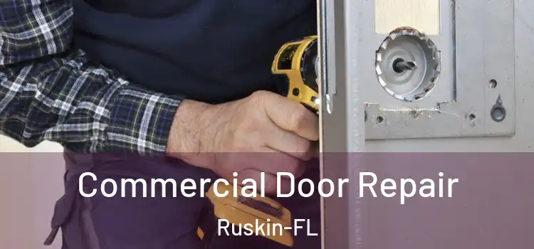  Commercial Door Repair Ruskin-FL